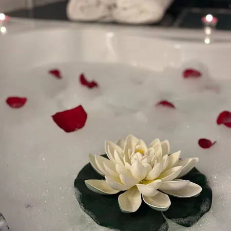 Romantic Bathtube Cismigiu Park 2 Apartamento